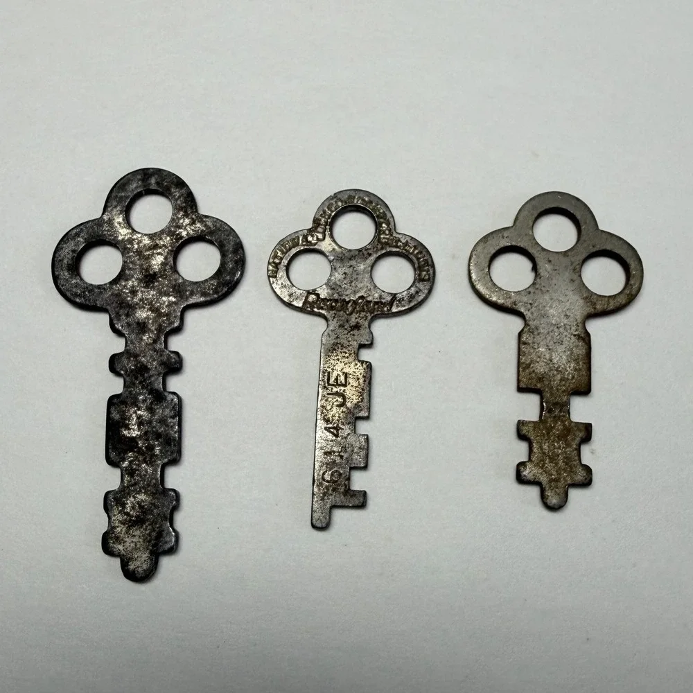 3 Trefoil Flat Skeleton Keys includes a National Lock Co Rockford, Il Steampunk